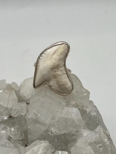 Shark Tooth Ring, Size 9 925 Sterling Silver WWW.KARINSFORGOTTENTREASURES.COM Hand Cast White Sterling Silver Jewelry, Unique White Rings With Polished Finish, Shark Tooth Ring, Tooth Ring, Shark Tooth, Shark Teeth, Rings Statement, Sterling Silber, Statement Rings