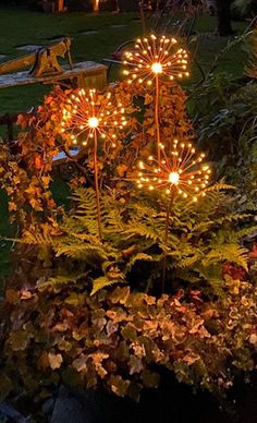 some lights that are on top of plants in a potted planter with leaves around it