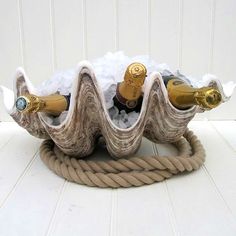 two bottles of champagne are in the middle of a rope