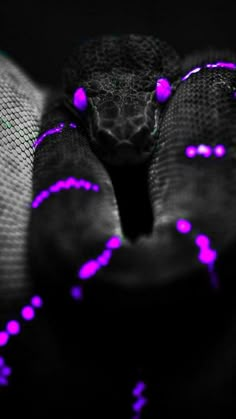 a snake with purple lights on it's head