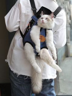 a woman carrying a white cat in her back pack