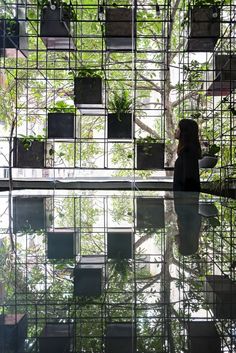 a woman standing in front of a building with lots of plants on the windowsill