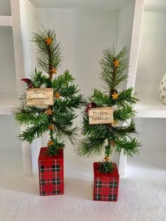 two small christmas trees in red boxes with merry wishes on them and pine cones hanging from the top