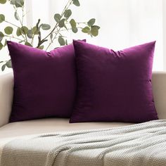 two purple pillows sitting on top of a white couch next to a potted plant