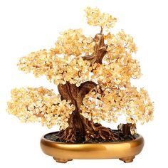 a bonsai tree with white flowers in a gold colored pot on a white background