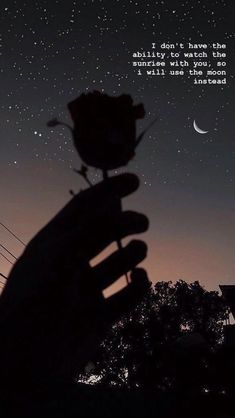 a person holding a flower in their hand with the sky and stars behind them at night