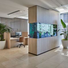 an office with plants and desks in front of large windows on either side of the wall