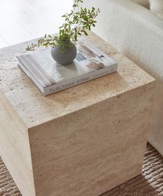 a table with a book on it and a potted plant sitting on top of it