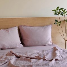 a bed with two pillows on top of it and a plant in the corner next to it