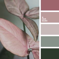 a pink and green color palette with leaves