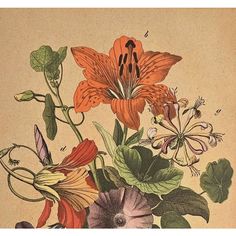 an illustration of flowers and leaves on a beige background