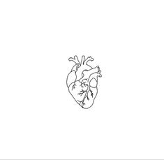 a black and white drawing of a human heart