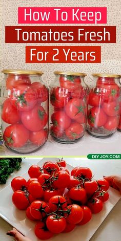 Learn how to store tomatoes so they stay fresh for up to two years with these clever kitchen hacks from DIY Joy Crafts. How To Bottle Tomatoes, Storing Tomatoes For Winter, How To Make Tomatoes Last Longer, How To Preserve Tomatoes Without Canning, How To Store Tomatoes From Garden, Best Tomatoes For Canning, How To Keep Tomatoes Fresh Longer, Save Tomatoes, Keep Tomatoes Fresh