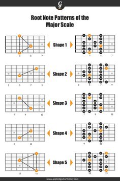 Major scale roots on guitar fretboard diagrams Minor Scale Guitar, Guitar Chords And Scales, Guitar Tabs And Chords, Jazz Guitar Lessons, Guitar Chord Progressions, Minor Scale