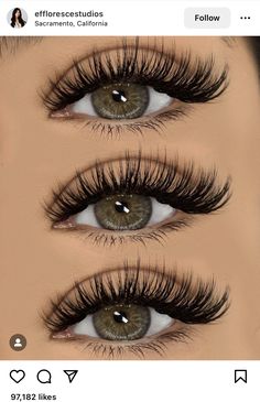 Full Cat Eye Lash Extensions, Full Wispy Eyelash Extensions, Eyelash Extensions With Color, Hybrid Wispy Lash Extensions, Eye Lash Extensions Styles, Eyelash Extensions Wispy, Extension Lashes, Evening Eye Makeup