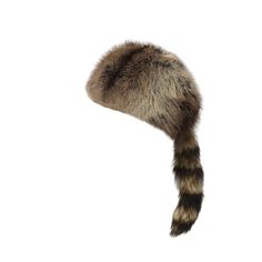 PRICES MAY VARY. The Raccoon Tail Hat is the perfect accessory to keep you warm and stylish during the cold winter months. Made from high quality faux rabbit/faux fur, this hat is lined with a padded interior to keep out the cold while ensuring maximum comfort. The natural cotton lining adds a layer of warmth and softness to the hat. This hat has a one-size-fits-all design and fits head sizes 56-60CM. Whether you're a young girl or an elegant lady, this classic and timeless wool hat is perfect f Hats For Winter, Raccoon Tail, Rabbit Fur Hat, Winter Closet, Curvy Swimwear, Elegant Lady, Fur Hat, Winter Hats For Women, Wool Hat