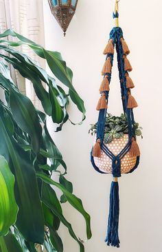 a hanging planter with plants in it next to a potted plant on the wall