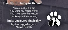 a man holding his dog's paw with the words to my furbaby in heaven