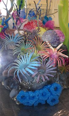 an assortment of plants and rocks on a table