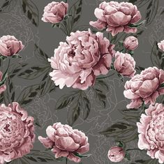 an image of pink flowers on grey background