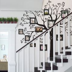 staircase with tree wall decal and family photos on the bannister handrail