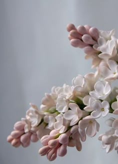 some pink and white flowers are in a vase