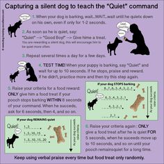 Brain Games 4 Dogs by Vi Pocket Beagle, Easiest Dogs To Train, Info Board, Dog Training Techniques