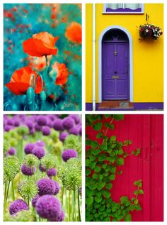 four different pictures with flowers and plants in front of the door, one is purple