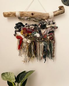 a piece of driftwood hanging on the wall next to a potted plant