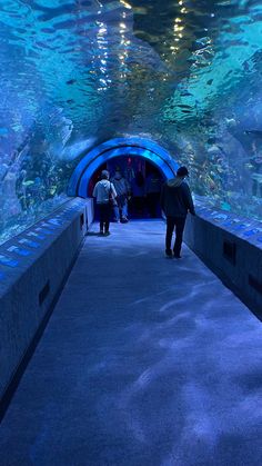 people are walking through an aquarium tunnel