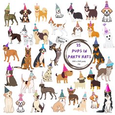 a group of dogs with party hats on their heads, all in different colors and sizes