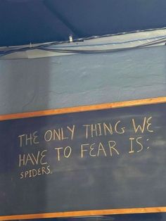 a sign that says the only thing we have to fear is spiders on it