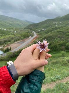 a person holding a flower in their hand on top of a hill overlooking a valley