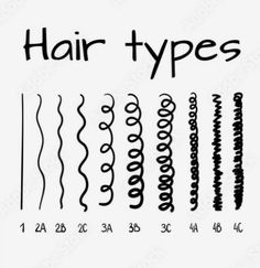 Curl Type Chart, Hair Texture Chart, Hair Type Chart, 2c Hair, Hair Chart, Loc Method, Curly Hair Types, Types Of Hair, Curly Girl Method