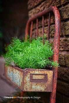 an old rusted metal planter with green plants in it's bottom drawer