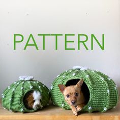 two small dogs sitting in their beds on a shelf with the words pattern above them