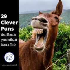 a brown horse with its mouth open and it's teeth wide open, standing in front of some bushes