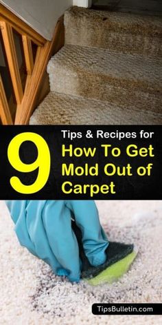 carpet cleaning steps with the title 9 tips and recipes for how to get mold out of carpet