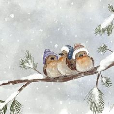 three birds are sitting on a branch in the snow, wearing hats and scarfs