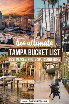 the ultimate tampa bucket list best places, photos and more