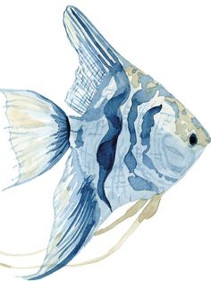 a watercolor painting of a blue and white fish