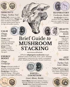 a poster with instructions on how to use mushrooms