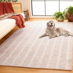 a white dog laying on top of a rug in a living room