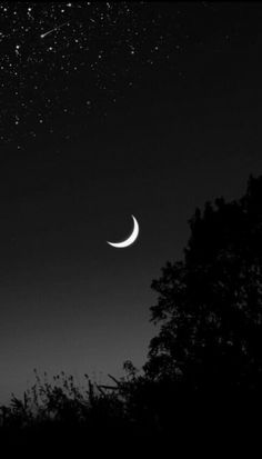 the night sky with two crescents and stars above trees in black and white photo