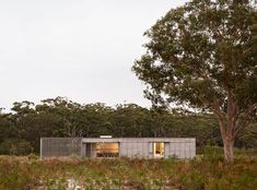 the house is surrounded by tall grass and trees