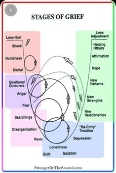 Counselling Resources, Therapy Techniques, Divorce Advice, Me Neither, Post Divorce, Health Class, Counseling Activities, Counseling Resources