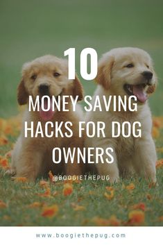 two dogs sitting in the grass with text overlay saying 10 money saving hacks for dog owners