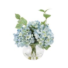 a glass vase filled with blue flowers on top of a white table next to a green leafy plant