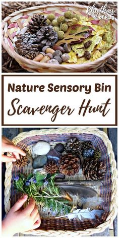 a basket filled with different types of pine cones and other things that are in it