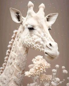 a giraffe is standing next to some flowers